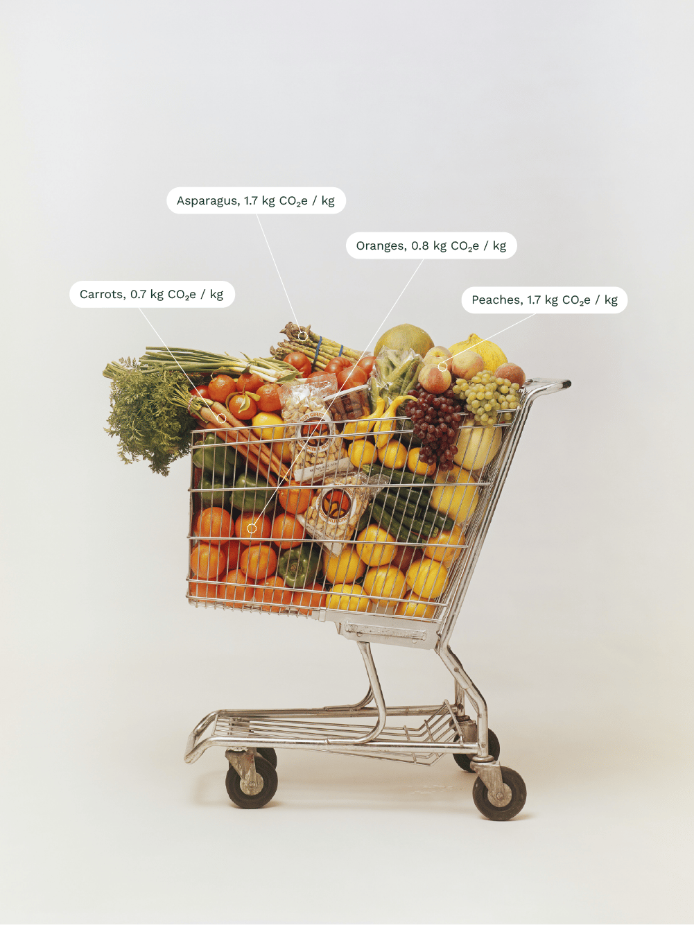 2026_KFE_shopping-cart_1000x1333px 2026_KFE_shopping-cart_1000x1333px