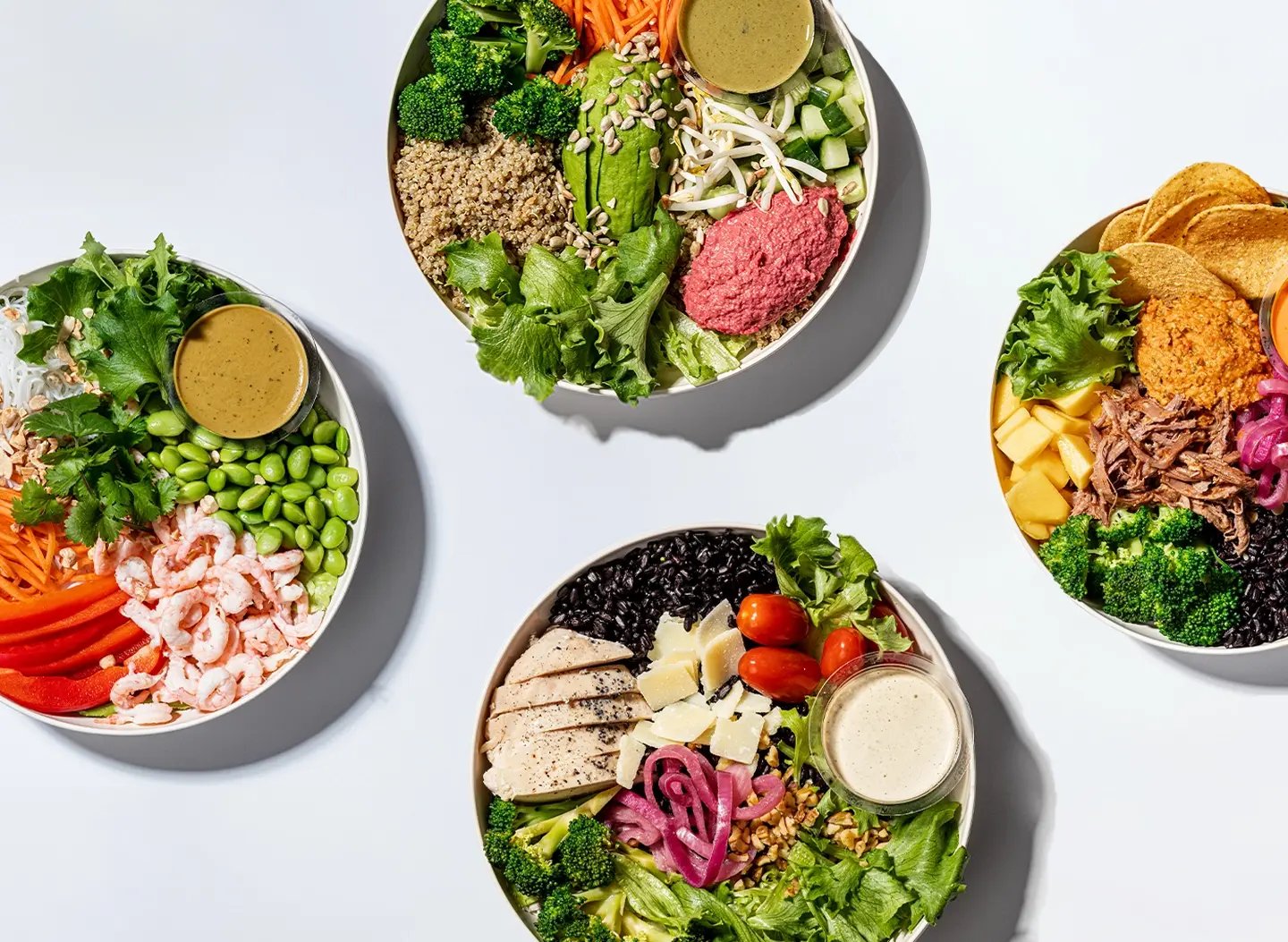 holygreens-omslag-2025