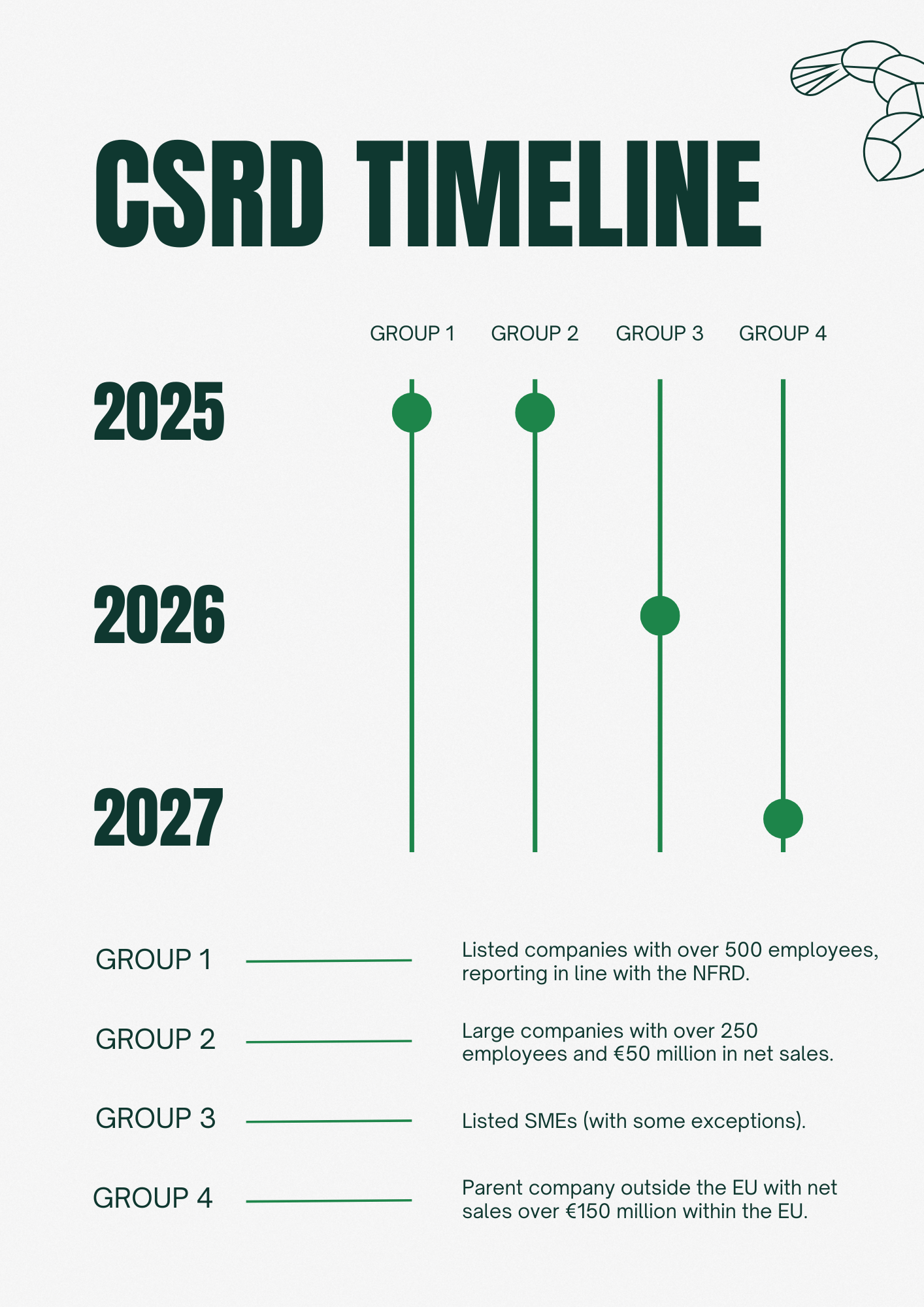 CSRD Timeline overview